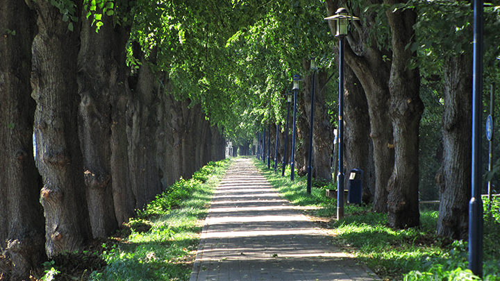 Wanderweg in Bad Liebenwerda